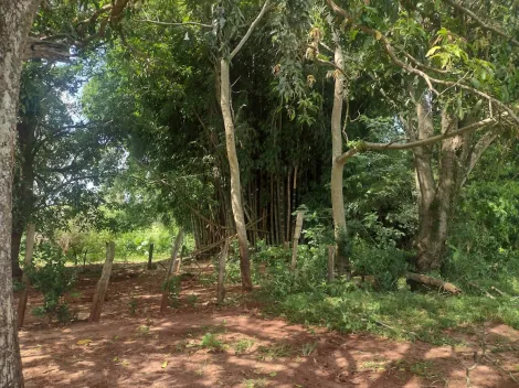 imagem 3 - Rural - Sitio imagem 3 - Rural - Sitio