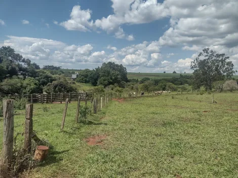 imagem 4 - Rural - Sitio imagem 4 - Rural - Sitio