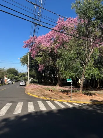imagem 1 - Lindo lote de esquina no Samambaia imagem 1 - Lindo lote de esquina no Samambaia