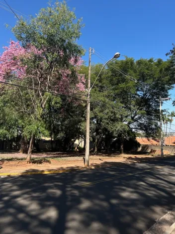 imagem 5 - Lindo lote de esquina no Samambaia imagem 5 - Lindo lote de esquina no Samambaia
