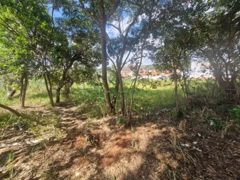 imagem 2 - Terreno - Jardim Nicéia imagem 2 - Terreno - Jardim Nicéia