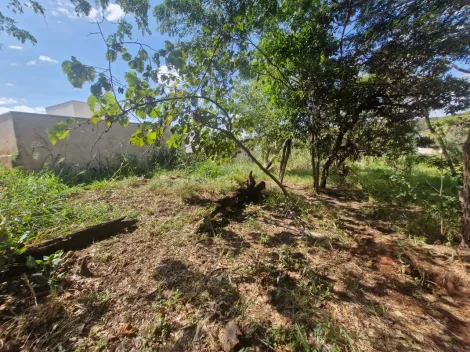 imagem 1 - Terreno - Jardim Nicéia imagem 1 - Terreno - Jardim Nicéia