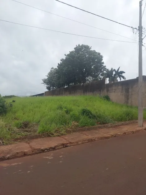 imagem 3 - Terreno - Padrão imagem 3 - Terreno - Padrão