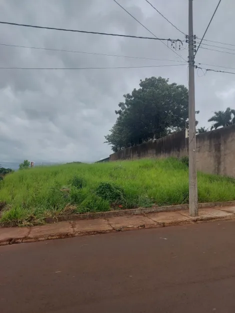 imagem 4 - Terreno - Padrão imagem 4 - Terreno - Padrão