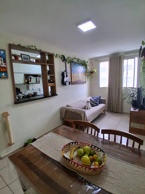 imagem 3 - Lindo apartamento próximo da COMENDADOR! - SPAZIO BROMÉLIAS! imagem 3 - Lindo apartamento próximo da COMENDADOR! - SPAZIO BROMÉLIAS!