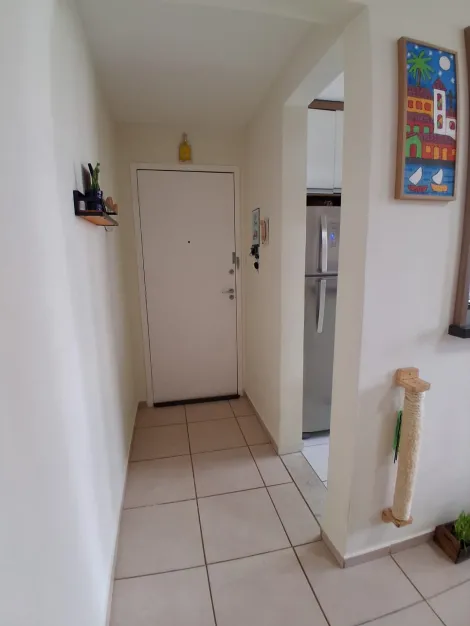 imagem 4 - Lindo apartamento próximo da COMENDADOR! - SPAZIO BROMÉLIAS! imagem 4 - Lindo apartamento próximo da COMENDADOR! - SPAZIO BROMÉLIAS!