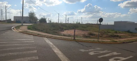 imagem 1 - Lotes comerciais na Principal Avenida do Bairro imagem 1 - Lotes comerciais na Principal Avenida do Bairro