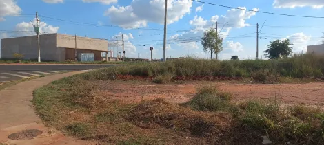 imagem 4 - Lotes comerciais na Principal Avenida do Bairro imagem 4 - Lotes comerciais na Principal Avenida do Bairro