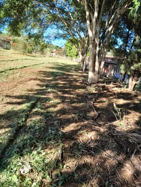 imagem 2 - Lote - Real Village imagem 2 - Lote - Real Village