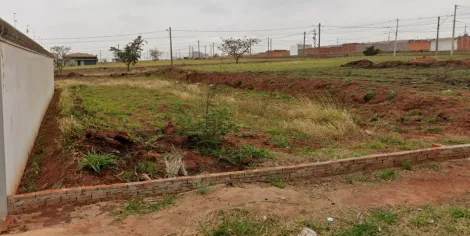 imagem 1 - Terreno - Padrão imagem 1 - Terreno - Padrão
