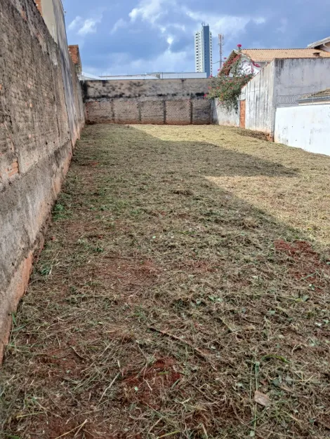 imagem 4 - Ótimo terreno próximo da NOSSA SENHORA DE FÁTIMA / ESTORIL 5! imagem 4 - Ótimo terreno próximo da NOSSA SENHORA DE FÁTIMA / ESTORIL 5!
