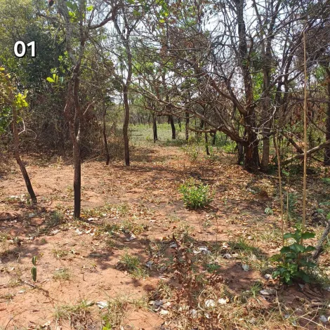 imagem 1 - TERRENO NO VALE DO IGAPÓ PARA VENDA imagem 1 - TERRENO NO VALE DO IGAPÓ PARA VENDA