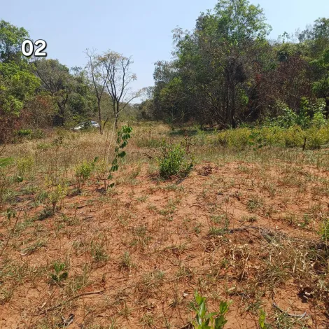 imagem 2 - TERRENO NO VALE DO IGAPÓ PARA VENDA imagem 2 - TERRENO NO VALE DO IGAPÓ PARA VENDA