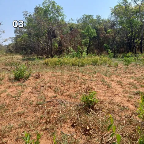 imagem 3 - TERRENO NO VALE DO IGAPÓ PARA VENDA imagem 3 - TERRENO NO VALE DO IGAPÓ PARA VENDA