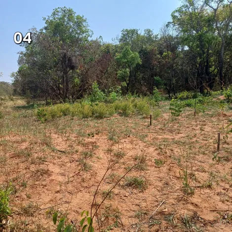 imagem 4 - TERRENO NO VALE DO IGAPÓ PARA VENDA imagem 4 - TERRENO NO VALE DO IGAPÓ PARA VENDA