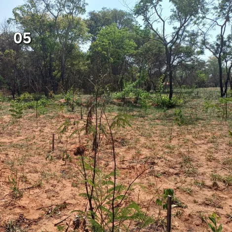 imagem 5 - TERRENO NO VALE DO IGAPÓ PARA VENDA imagem 5 - TERRENO NO VALE DO IGAPÓ PARA VENDA