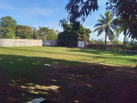imagem 1 - Imperdível! Chácara à Venda com Casa Sede e Área de Lazer Independente para Renda Extra - Chácaras Cornélia imagem 1 - Imperdível! Chácara à Venda com Casa Sede e Área de Lazer Independente para Renda Extra - Chácaras Cornélia