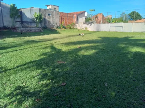 imagem 2 - Imperdível! Chácara à Venda com Casa Sede e Área de Lazer Independente para Renda Extra - Chácaras Cornélia imagem 2 - Imperdível! Chácara à Venda com Casa Sede e Área de Lazer Independente para Renda Extra - Chácaras Cornélia