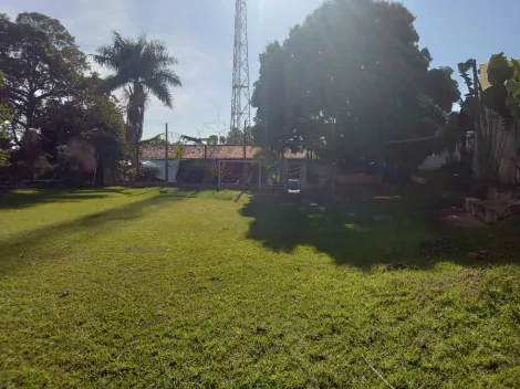 imagem 3 - Imperdível! Chácara à Venda com Casa Sede e Área de Lazer Independente para Renda Extra - Chácaras Cornélia imagem 3 - Imperdível! Chácara à Venda com Casa Sede e Área de Lazer Independente para Renda Extra - Chácaras Cornélia