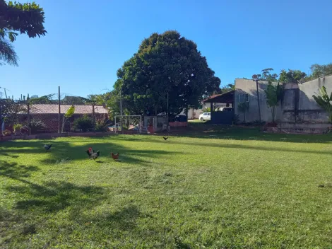 imagem 4 - Imperdível! Chácara à Venda com Casa Sede e Área de Lazer Independente para Renda Extra - Chácaras Cornélia imagem 4 - Imperdível! Chácara à Venda com Casa Sede e Área de Lazer Independente para Renda Extra - Chácaras Cornélia