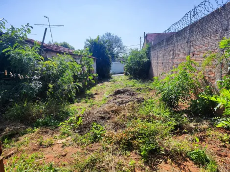 imagem 3 - Oportunidade para Investidores - Terreno na Vila Nipônica imagem 3 - Oportunidade para Investidores - Terreno na Vila Nipônica