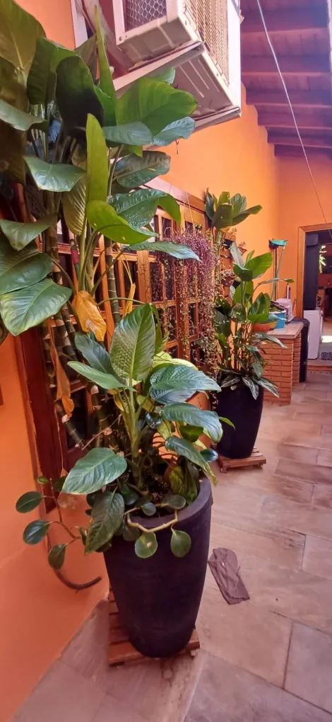 imagem 2 - Casa - Residência imagem 2 - Casa - Residência