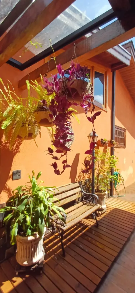 imagem 4 - Casa - Residência imagem 4 - Casa - Residência