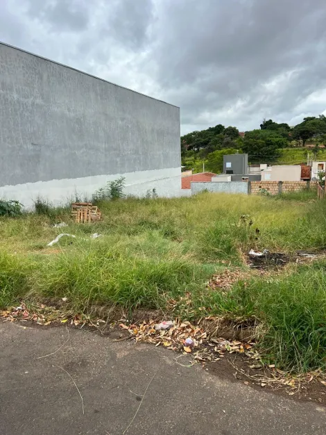 imagem 1 - Ótimos lotes no Jardim Vania Maria imagem 1 - Ótimos lotes no Jardim Vania Maria