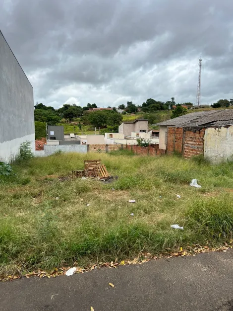 imagem 2 - Ótimos lotes no Jardim Vania Maria imagem 2 - Ótimos lotes no Jardim Vania Maria