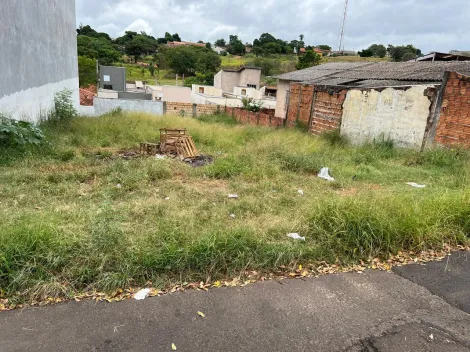 imagem 3 - Ótimos lotes no Jardim Vania Maria imagem 3 - Ótimos lotes no Jardim Vania Maria