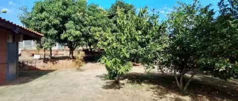 imagem 5 - Excelente oportunidade de lazer e descanso - Rancho em Pederneiras imagem 5 - Excelente oportunidade de lazer e descanso - Rancho em Pederneiras
