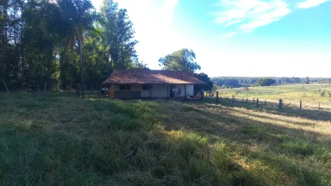 imagem 1 - Sítio - SOL NASCENTE - PIRATININGA imagem 1 - Sítio - SOL NASCENTE - PIRATININGA