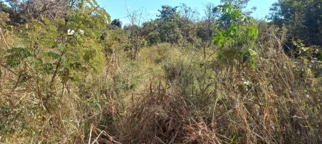 imagem 1 - Excelente Terreno Comercial - Sem mata imagem 1 - Excelente Terreno Comercial - Sem mata
