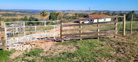 imagem 4 - Chácara muito próxima a cidade - Vila Dutra imagem 4 - Chácara muito próxima a cidade - Vila Dutra