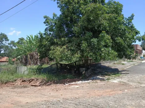 imagem 1 - Terreno - Padrão imagem 1 - Terreno - Padrão