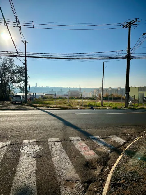 imagem 3 - EXCELENTE TERRENO PARA INSTALAÇÃO DE COMÉRCIO DE DIVERSOS TIPOS DE SEGMENTOS imagem 3 - EXCELENTE TERRENO PARA INSTALAÇÃO DE COMÉRCIO DE DIVERSOS TIPOS DE SEGMENTOS