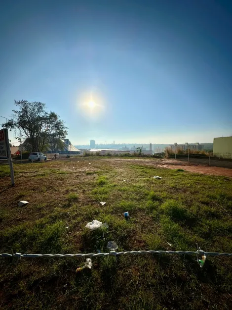 imagem 5 - EXCELENTE TERRENO PARA INSTALAÇÃO DE COMÉRCIO DE DIVERSOS TIPOS DE SEGMENTOS imagem 5 - EXCELENTE TERRENO PARA INSTALAÇÃO DE COMÉRCIO DE DIVERSOS TIPOS DE SEGMENTOS