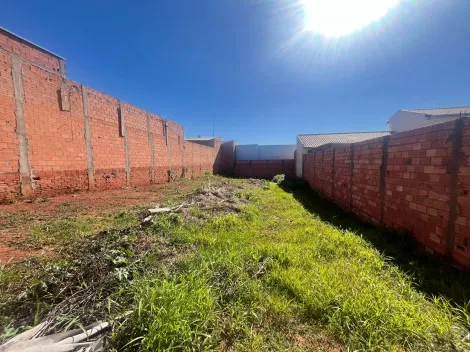 imagem 2 - Terreno no grajau com preço imperdivel! imagem 2 - Terreno no grajau com preço imperdivel!