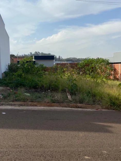 imagem 1 - Terreno - Padrão imagem 1 - Terreno - Padrão