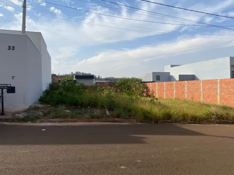 imagem 2 - Terreno - Padrão imagem 2 - Terreno - Padrão