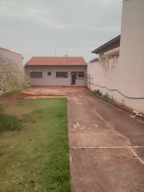 imagem 2 - JARDIM DAS ORQUÍDEAS - BARRA BONITA/SP imagem 2 - JARDIM DAS ORQUÍDEAS - BARRA BONITA/SP