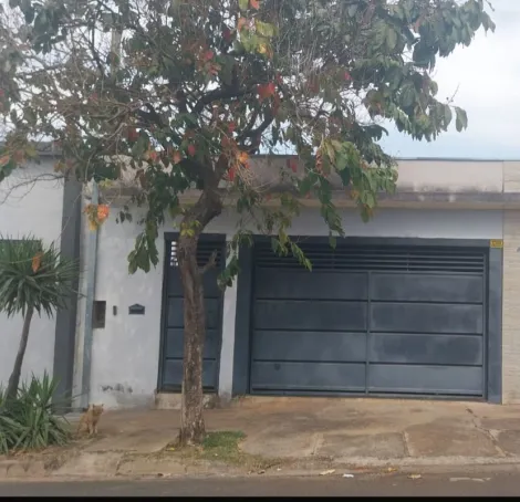 imagem 1 - Excelente Residência no Silvestre 2 imagem 1 - Excelente Residência no Silvestre 2