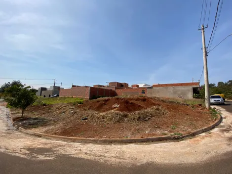 imagem 1 - MARIA CAROLINA ll - IGARAÇU DO TIETÊ/SP imagem 1 - MARIA CAROLINA ll - IGARAÇU DO TIETÊ/SP