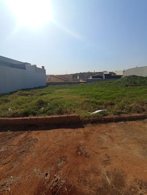imagem 1 - RESIDENCIAL STANGHERLIN - BARRA BONITA/SP imagem 1 - RESIDENCIAL STANGHERLIN - BARRA BONITA/SP