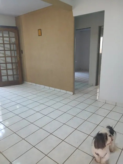 imagem 4 - Casa ampla COMERCIAL / RESIDENCIAL - próxima do CONFIANÇA DO MARY DOTA! imagem 4 - Casa ampla COMERCIAL / RESIDENCIAL - próxima do CONFIANÇA DO MARY DOTA!