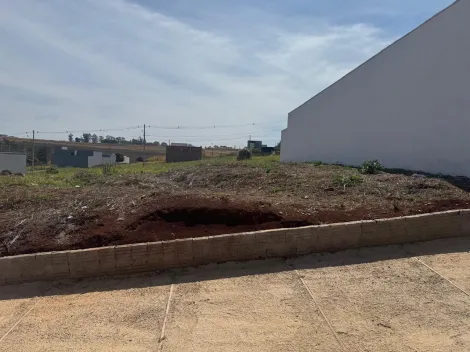 imagem 1 - Terreno - Padrão imagem 1 - Terreno - Padrão