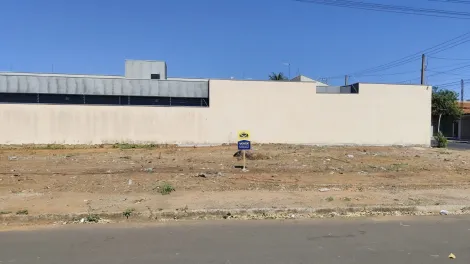 imagem 1 - Excelente Lote na Vila Niponica imagem 1 - Excelente Lote na Vila Niponica