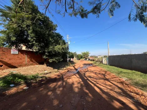 imagem 5 - Oportunidade imperdível: Chácara à venda para investidor - Chac. São João imagem 5 - Oportunidade imperdível: Chácara à venda para investidor - Chac. São João