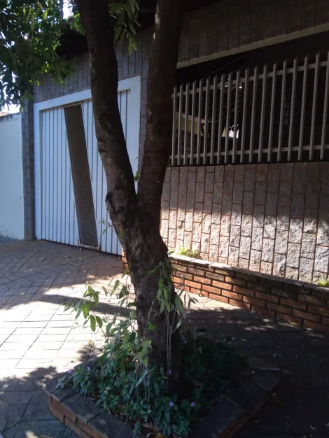 imagem 1 - Excelente Residência no Alto Paraiso imagem 1 - Excelente Residência no Alto Paraiso