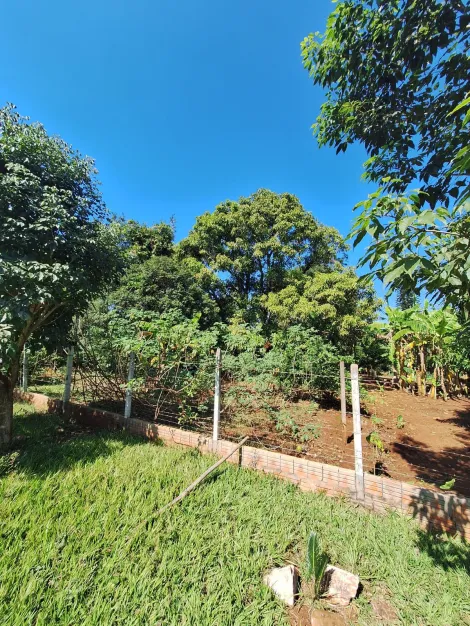 imagem 2 - GLEBA - IGARAÇU DO TIETÊ/SP imagem 2 - GLEBA - IGARAÇU DO TIETÊ/SP